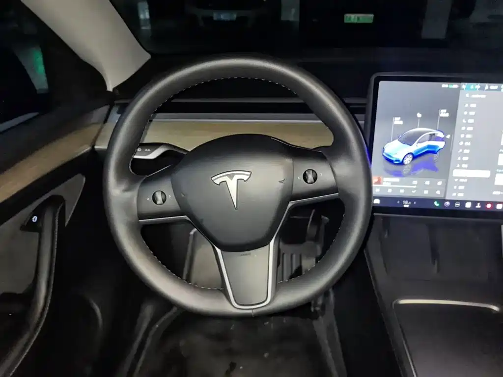 Tesla Model Y — миниатюра 6