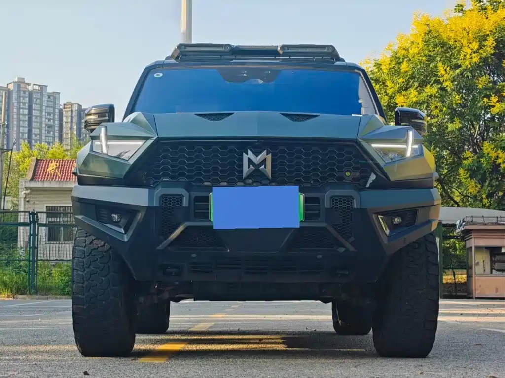 Mengshi Mengshi 917 — миниатюра 2