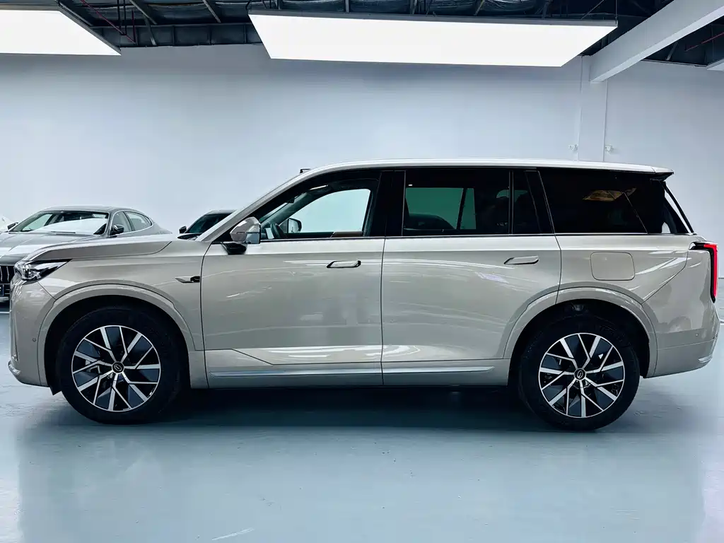 GAC Motor Trumpchi Xiangwang S9 — миниатюра 13