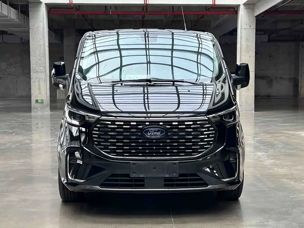 Ford Tourneo — миниатюра 2