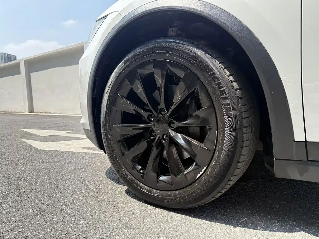 Tesla Model X — миниатюра 6