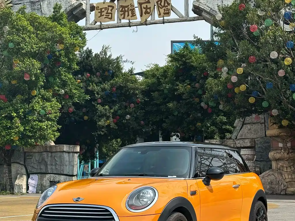 Mini Mini 2018