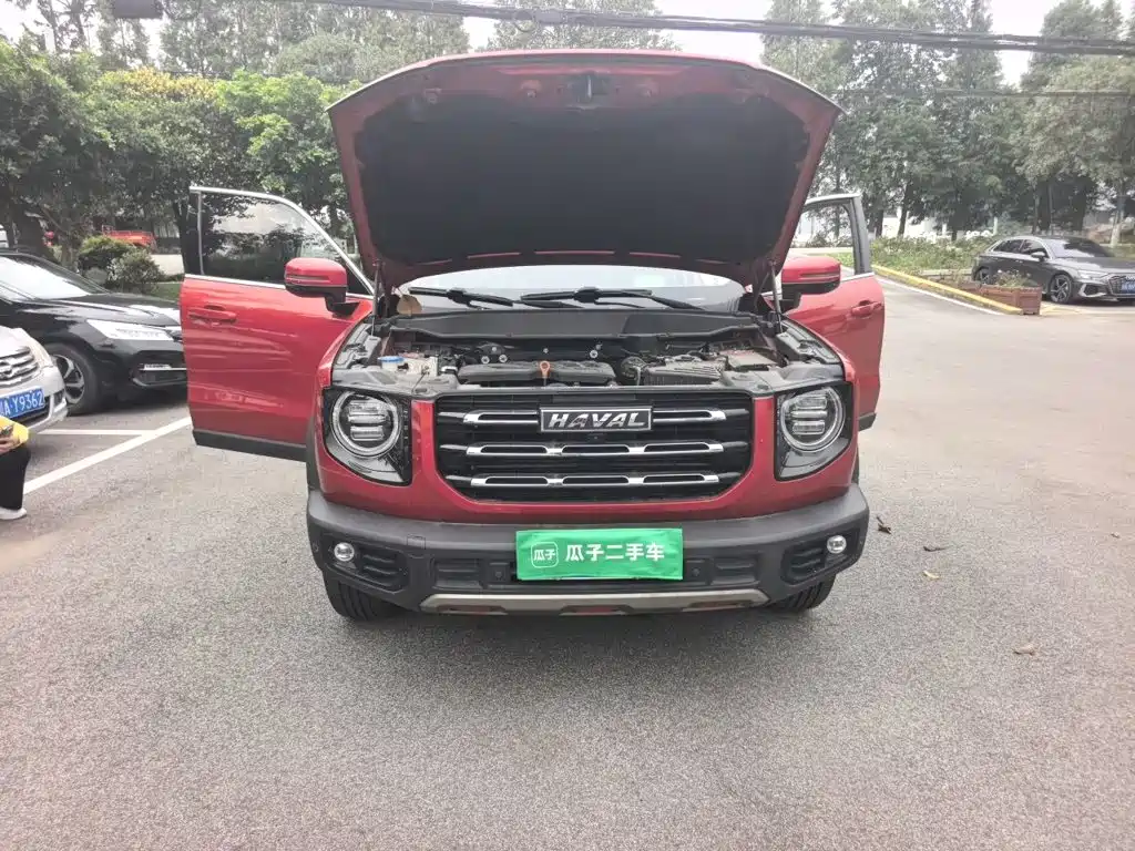 Haval Big Dog — миниатюра 11