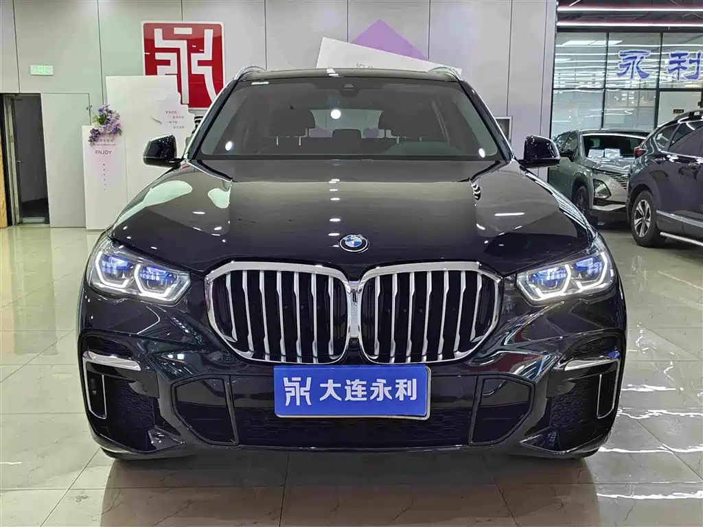 BMW X5 — миниатюра 2
