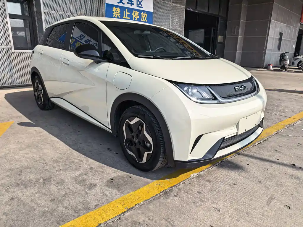BYD Dolphin — миниатюра 3