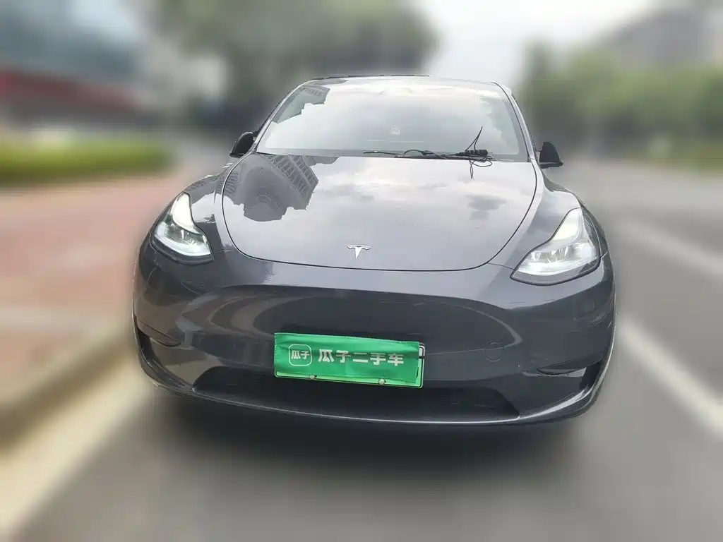 Tesla Model Y — миниатюра 2