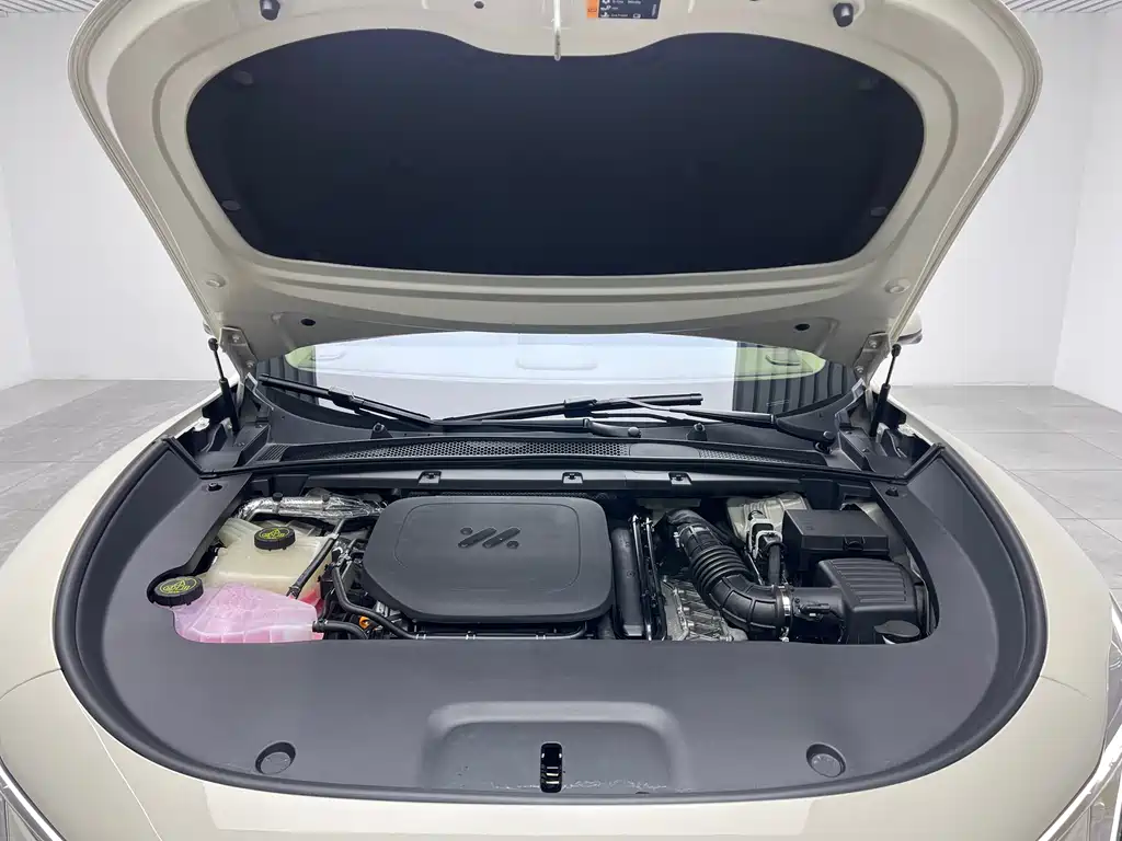 ZHIJI AUTOMOBILE ZHIJI LS6