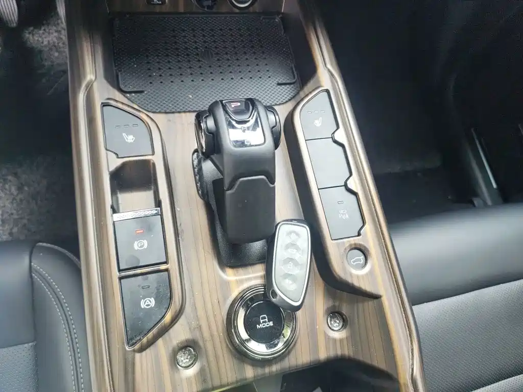 Haval Big Dog PLUS New Energy — миниатюра 11