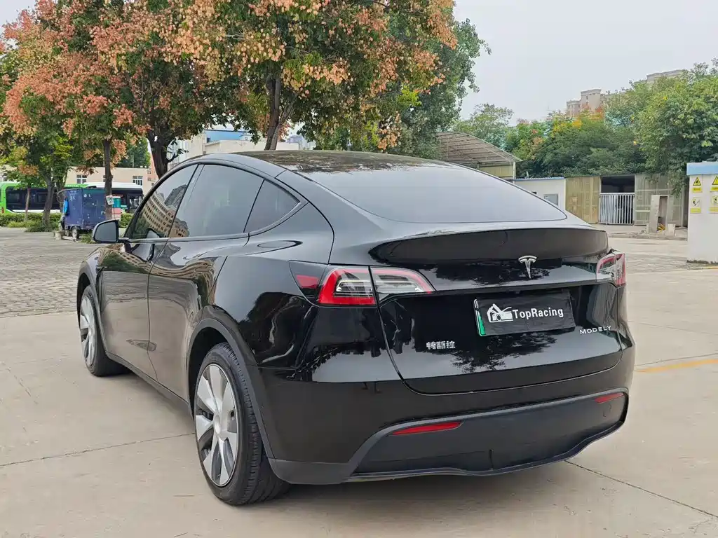 Tesla Model Y — миниатюра 7