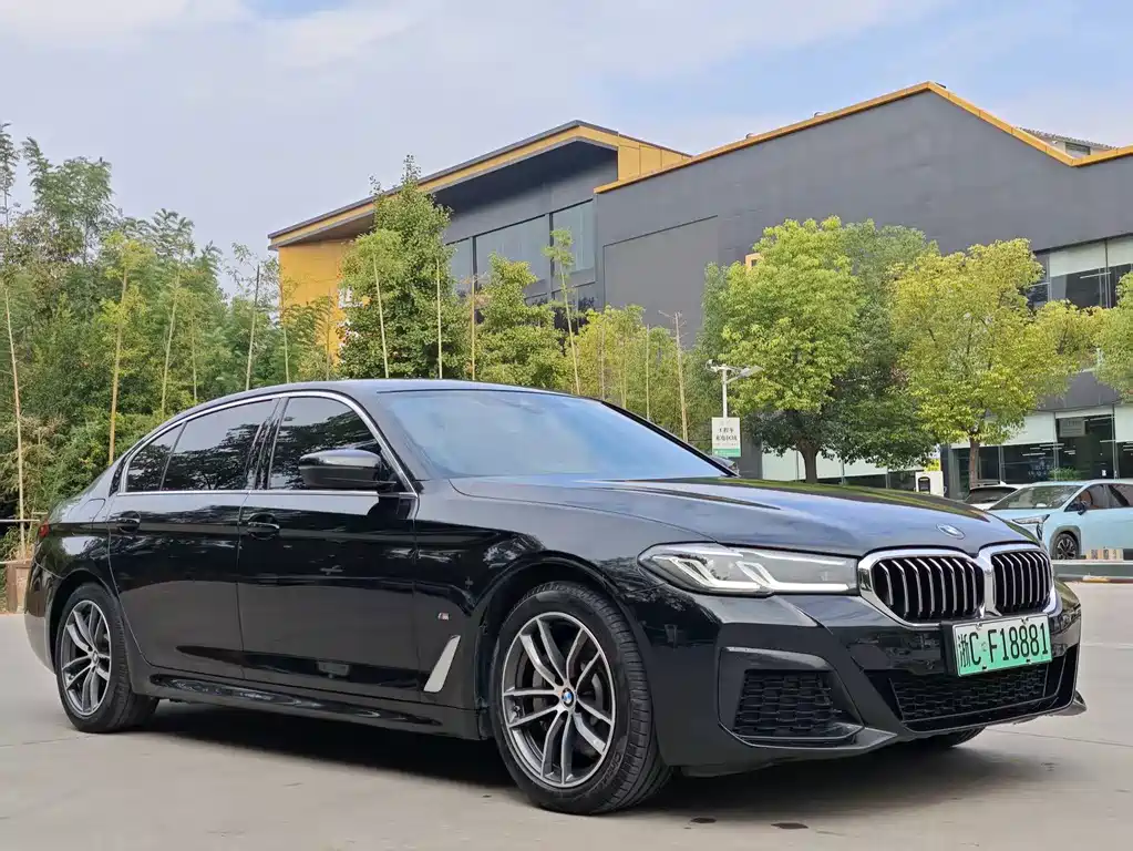 BMW 5 Series New Energy — миниатюра 2
