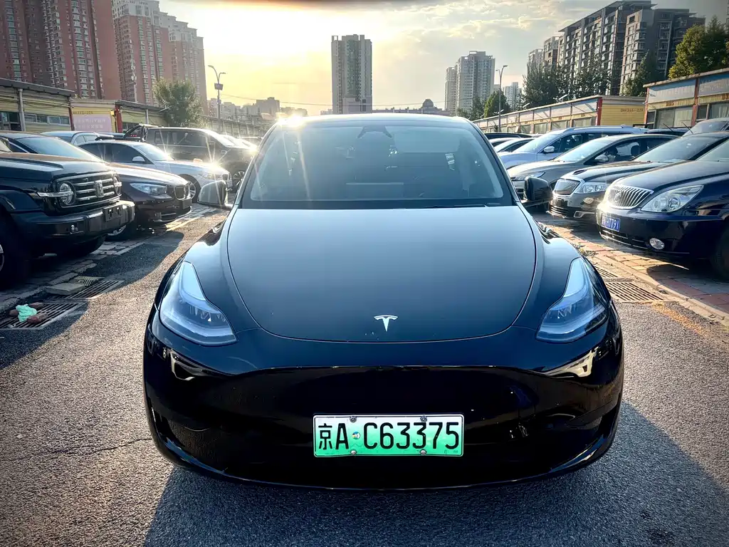 Tesla Model Y — миниатюра 2