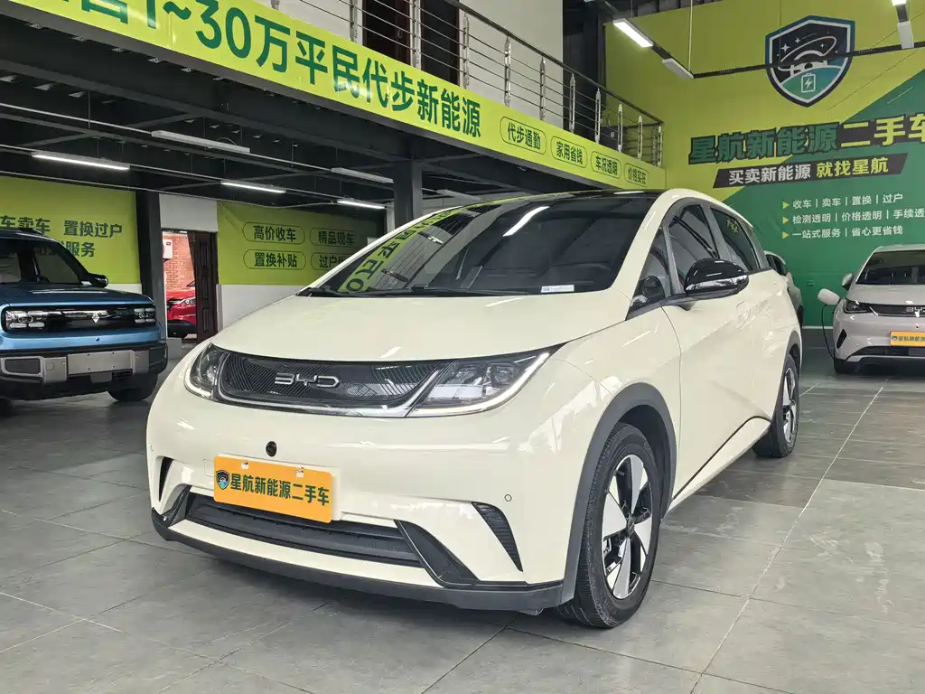 BYD Dolphin