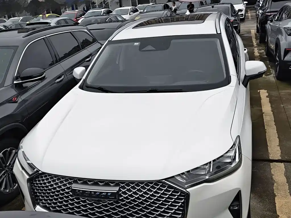 Haval H6 — миниатюра 2