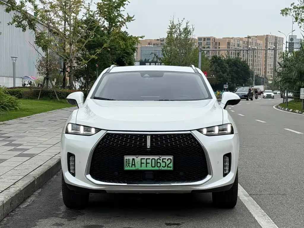 Wey Wey P8 — миниатюра 2