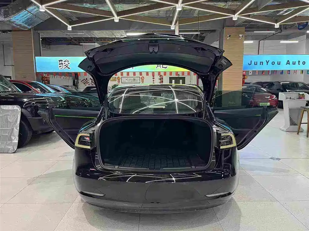 Tesla Model 3 — миниатюра 21