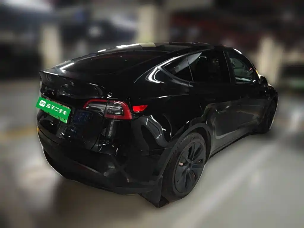 Tesla Model Y — миниатюра 4
