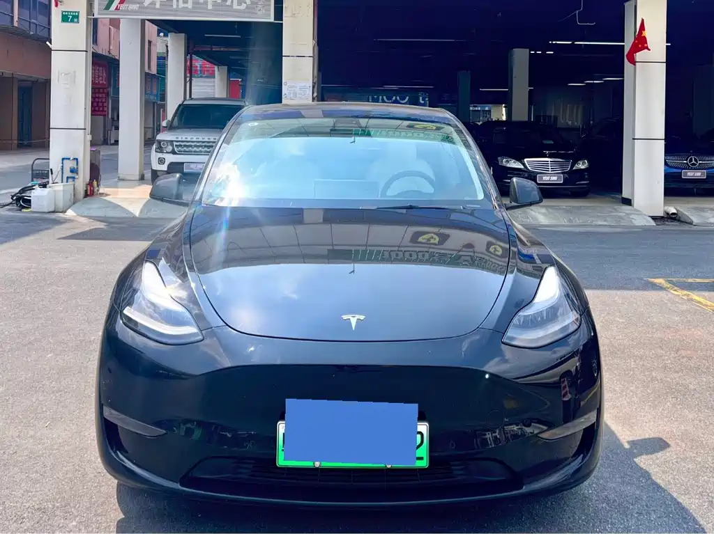 Tesla Model Y — миниатюра 2