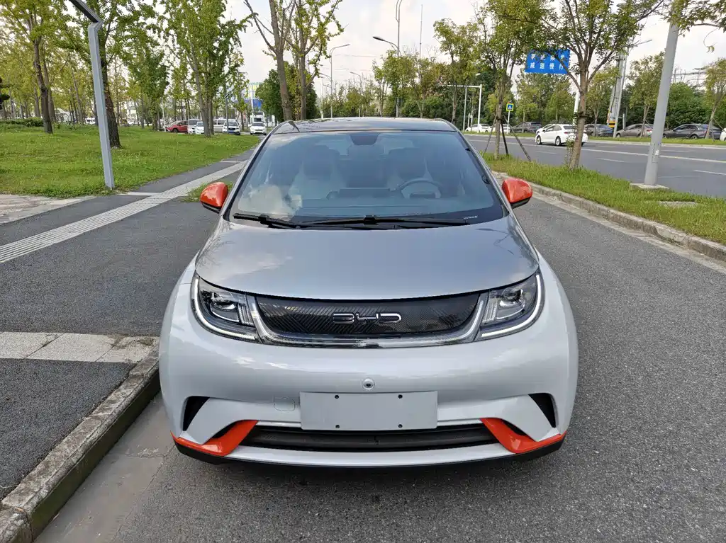 BYD Dolphin — миниатюра 2