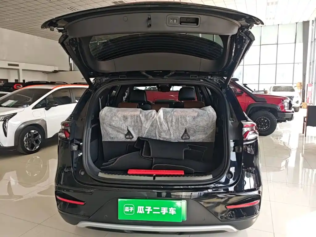 BYD Tang New Energy — миниатюра 19
