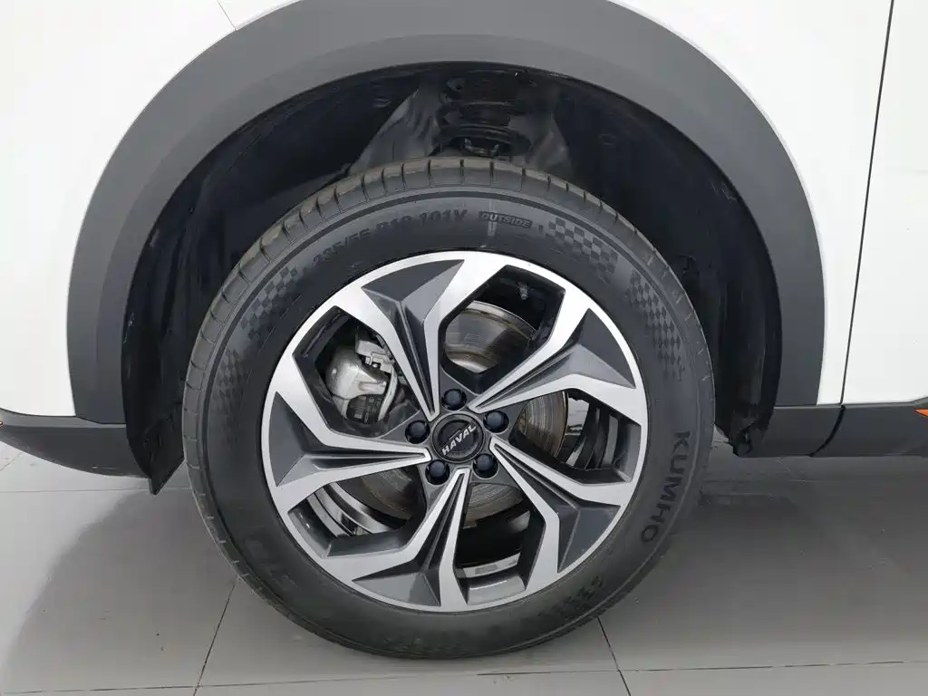 Haval Shenshou — миниатюра 17