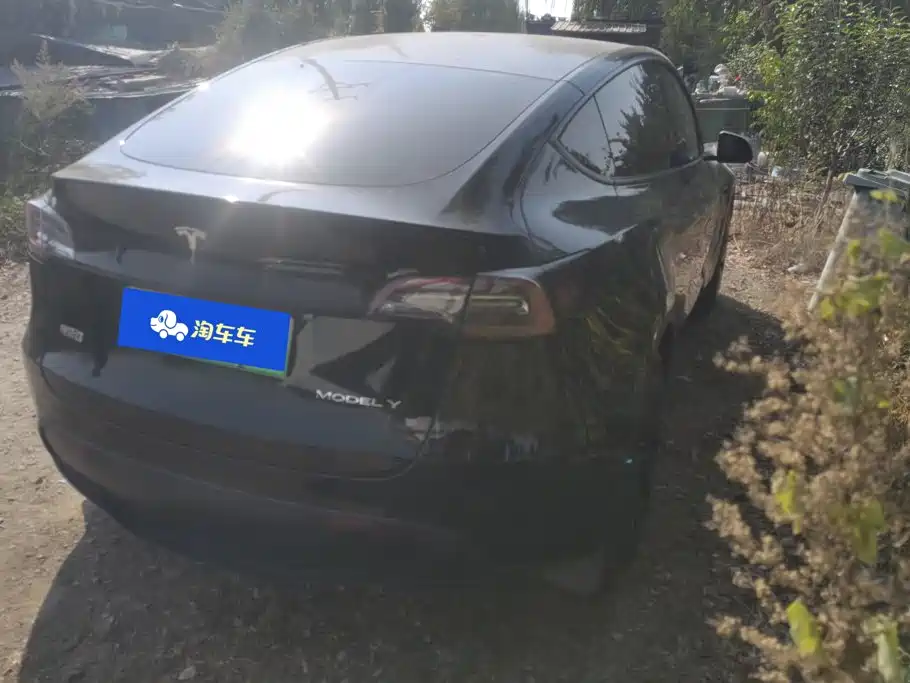 Tesla Model Y — миниатюра 3