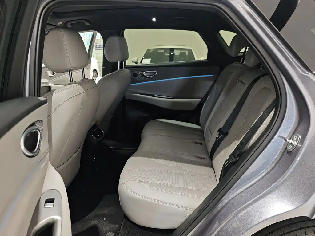 BYD Sealion 06 — миниатюра 11