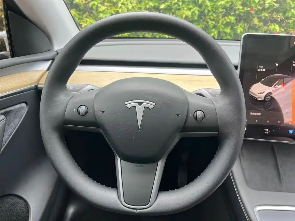 Tesla Model Y — миниатюра 10