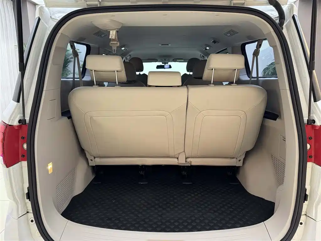 SAIC MAXUS CHASE G10