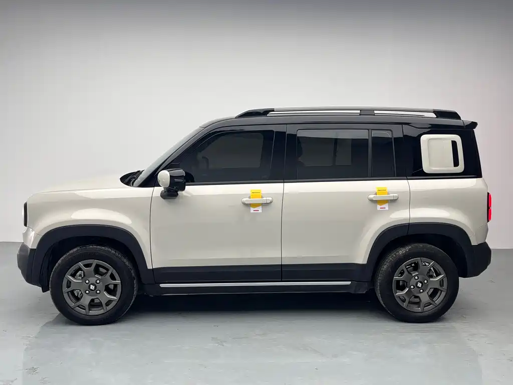 BAOJUN YUE ALSO PLUS