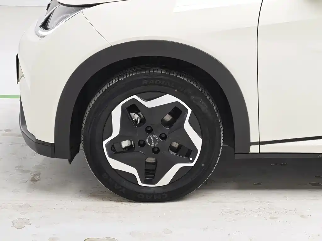 BYD Dolphin — миниатюра 8