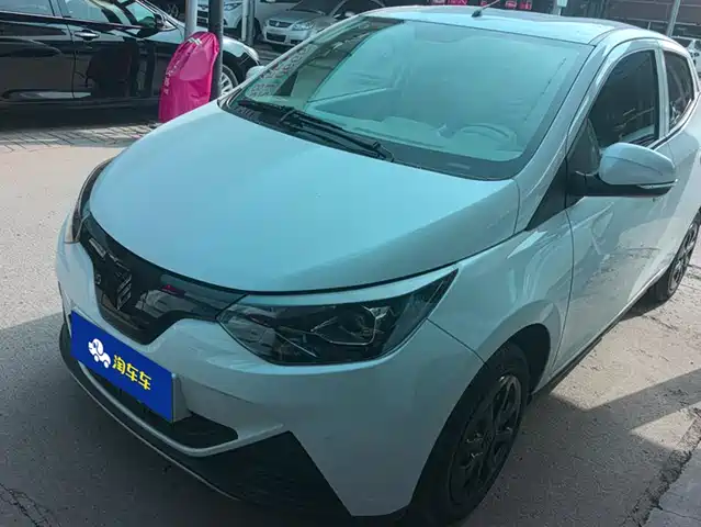 JIANGLING GROUP NEW ENERGY LITTLE UNICORN 2024