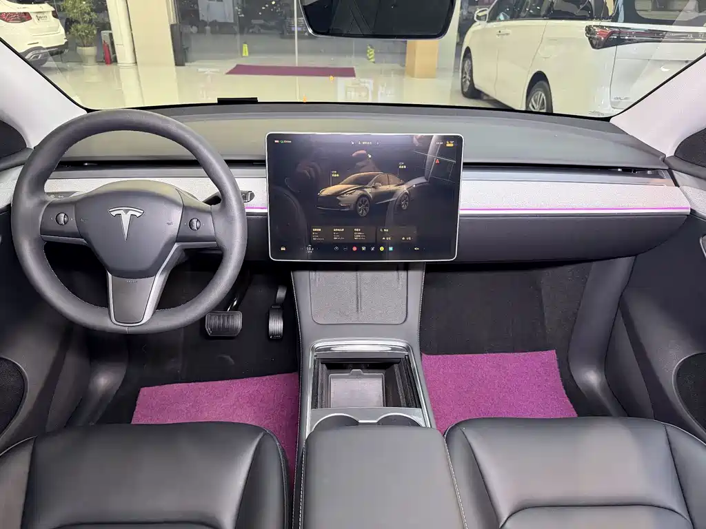 TESLA MODEL Y