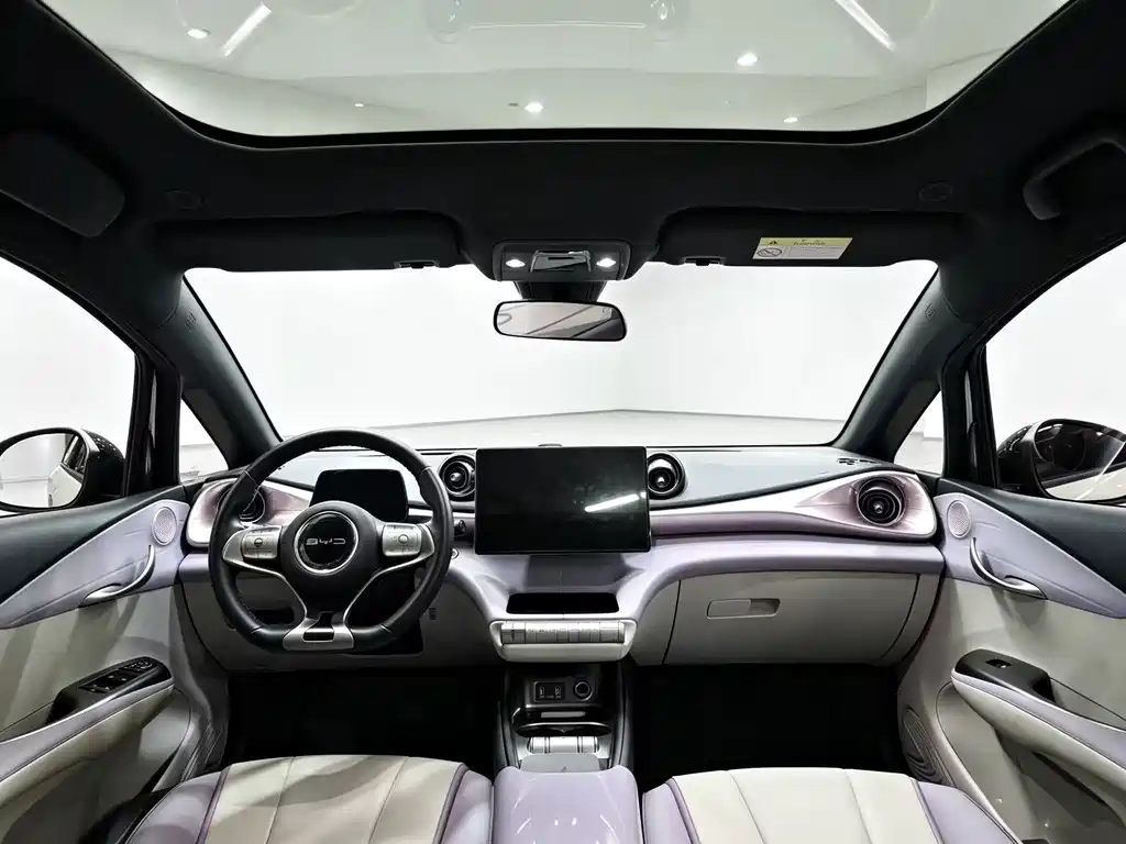 BYD Dolphin — миниатюра 5