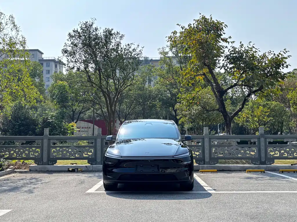Tesla Model Y L — миниатюра 2
