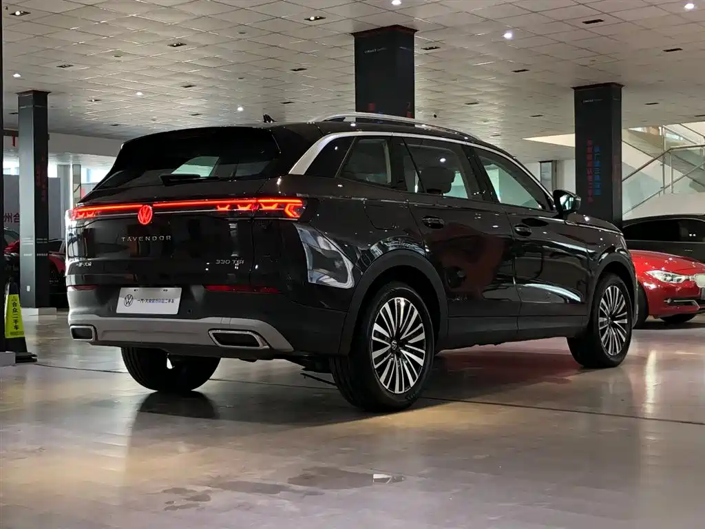 Volkswagen Tavendor — миниатюра 14