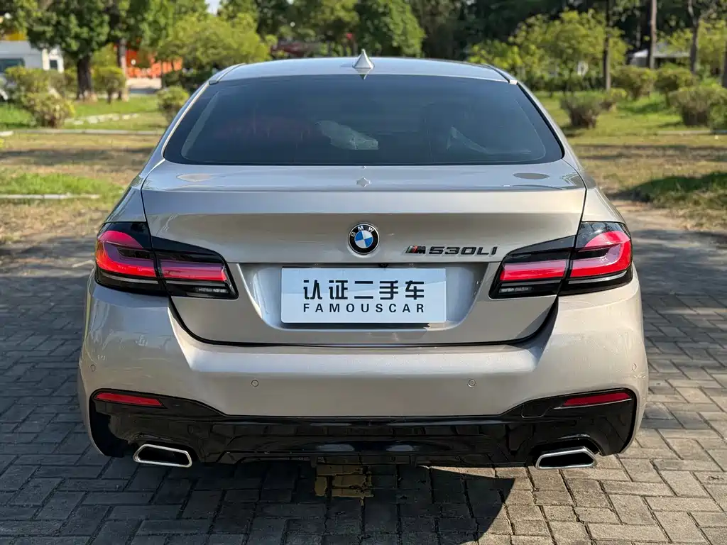 BMW 5 Series — миниатюра 24