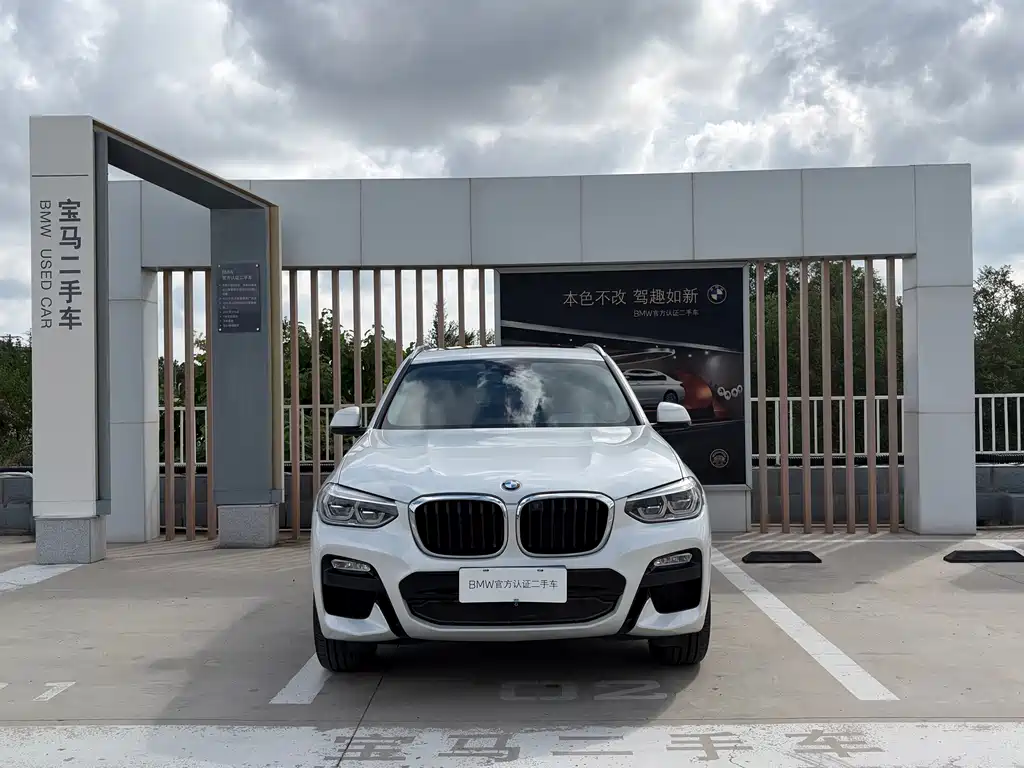 BMW X3 — миниатюра 2