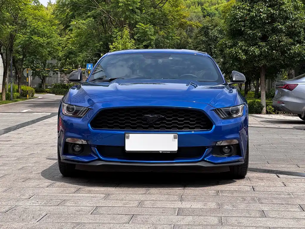 Ford Mustang — миниатюра 6