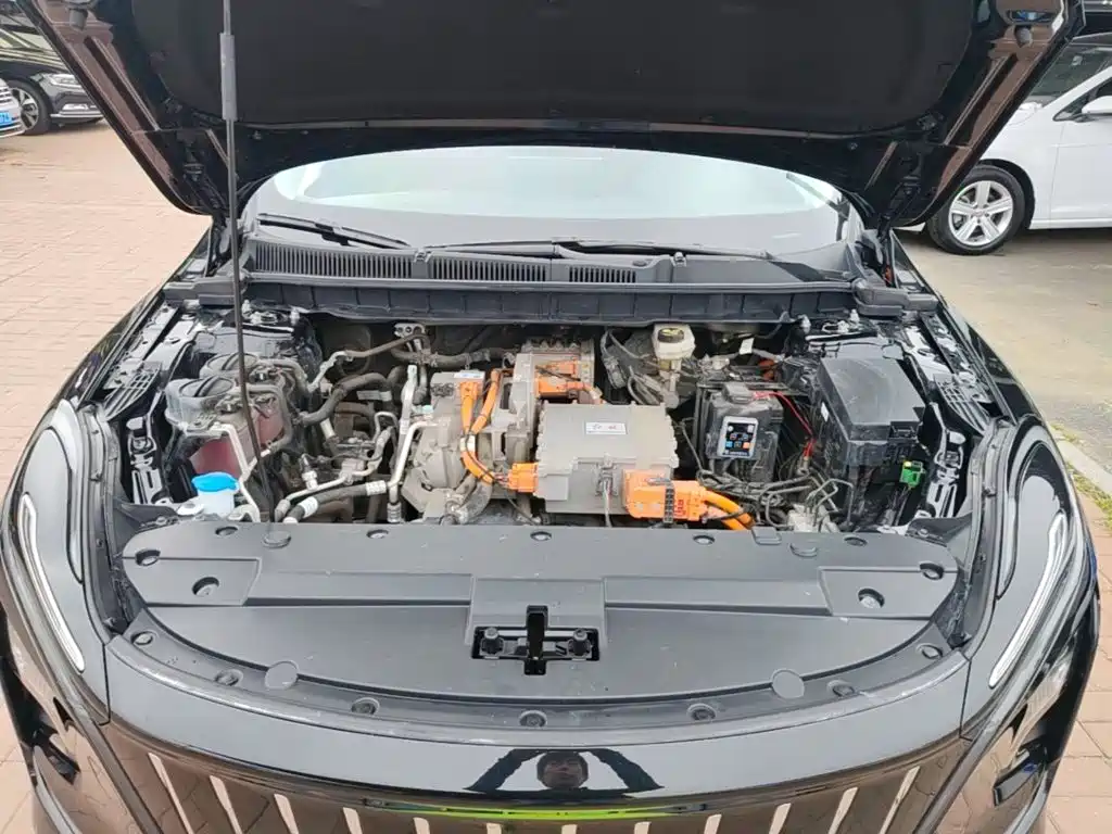 Hongqi Hongqi E-QM5 — миниатюра 20