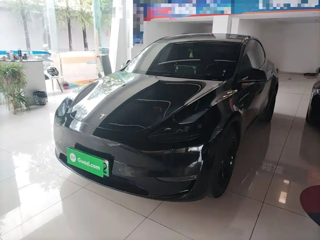 Tesla Model Y — миниатюра 2