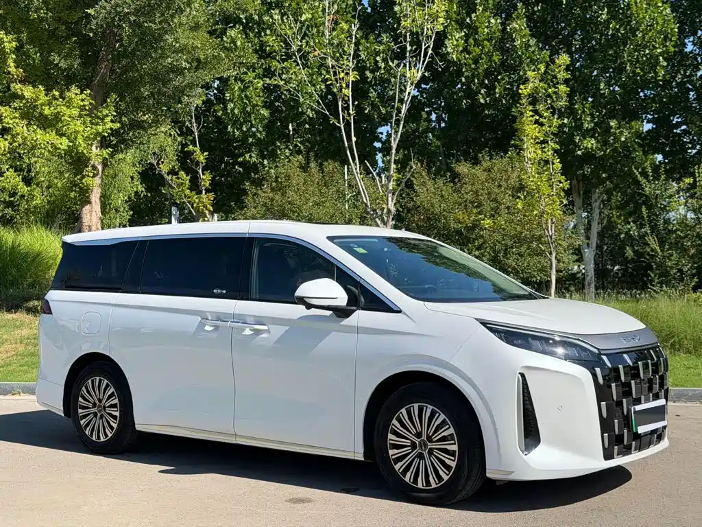 BYD M9 — миниатюра 3