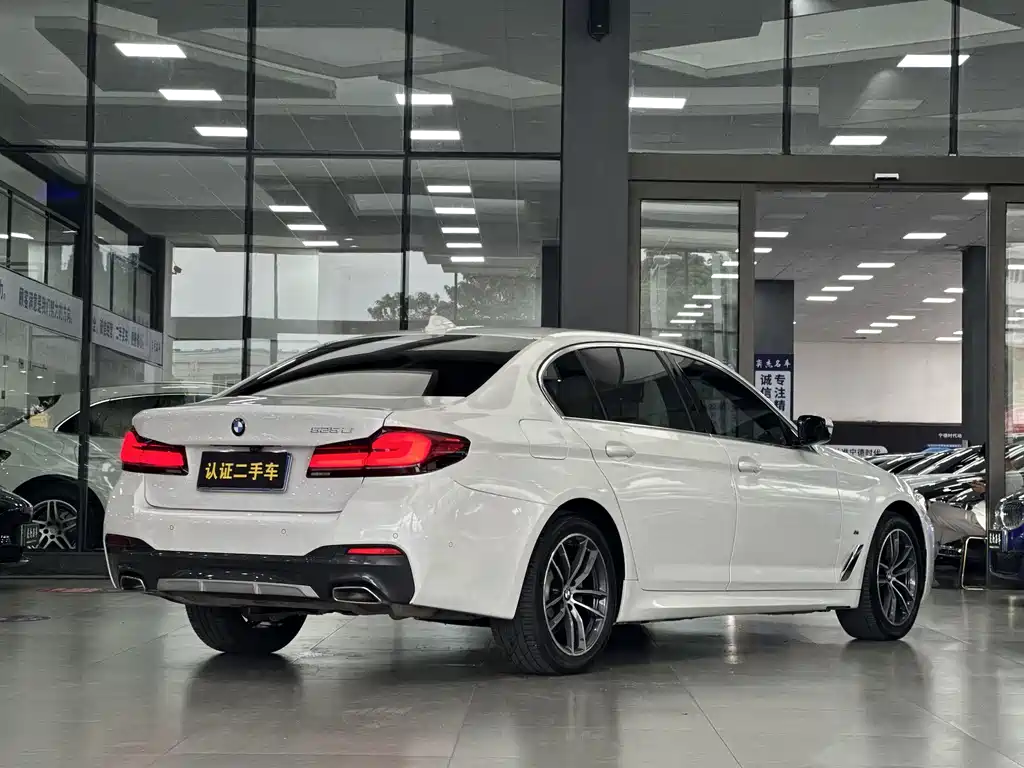 BMW 5 SERIES