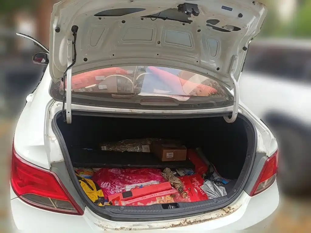 Hyundai Verna — миниатюра 15