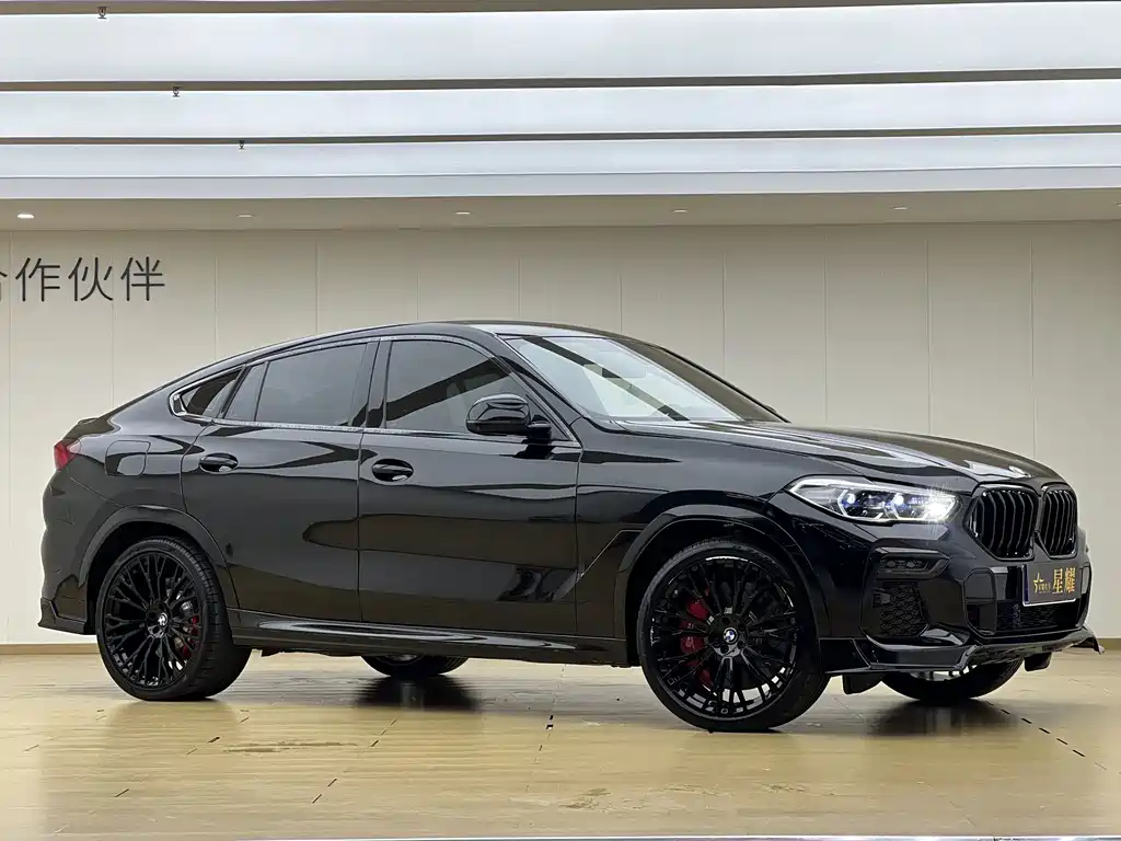 BMW X6 — миниатюра 3