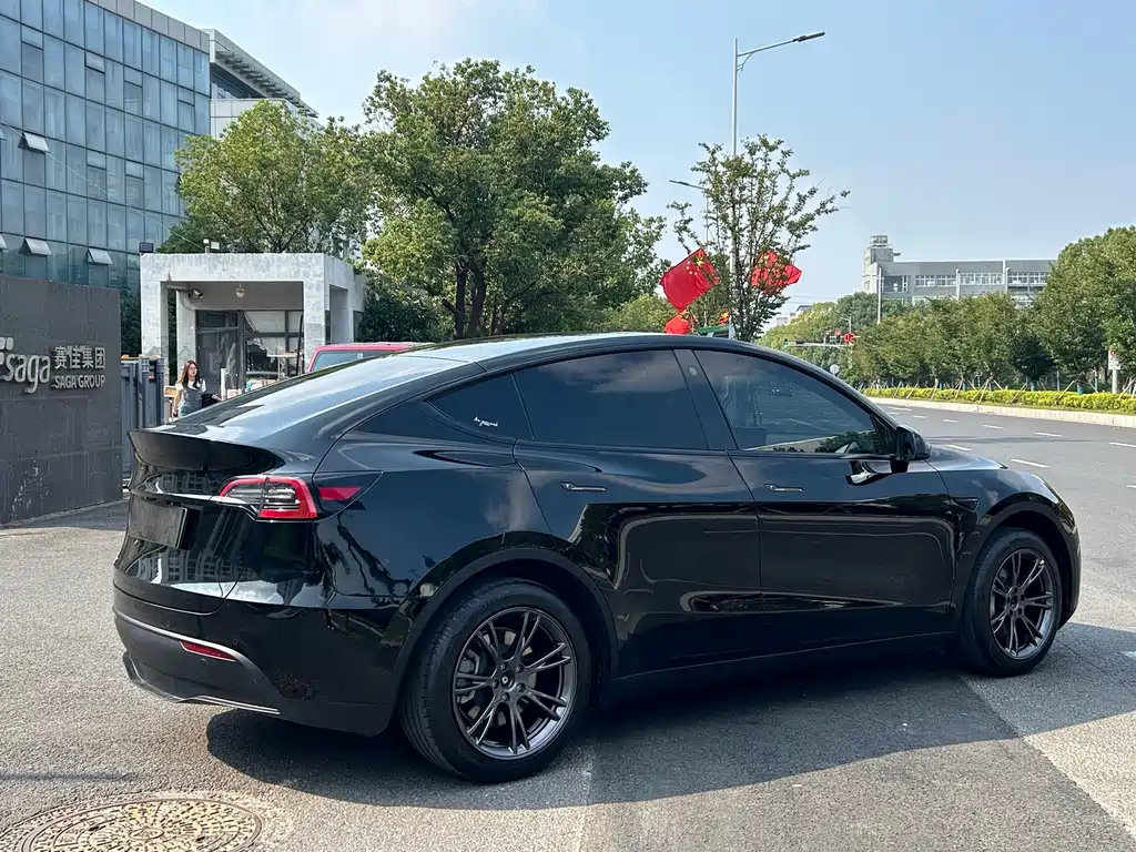 Tesla Model Y — миниатюра 3