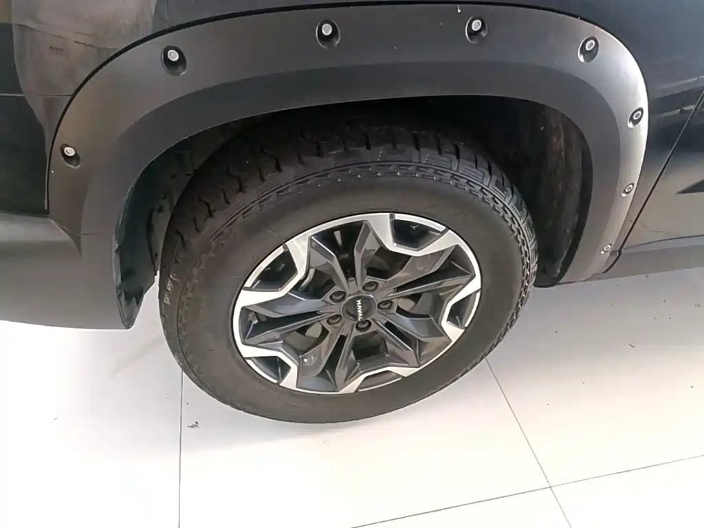 Haval Big Dog — миниатюра 23
