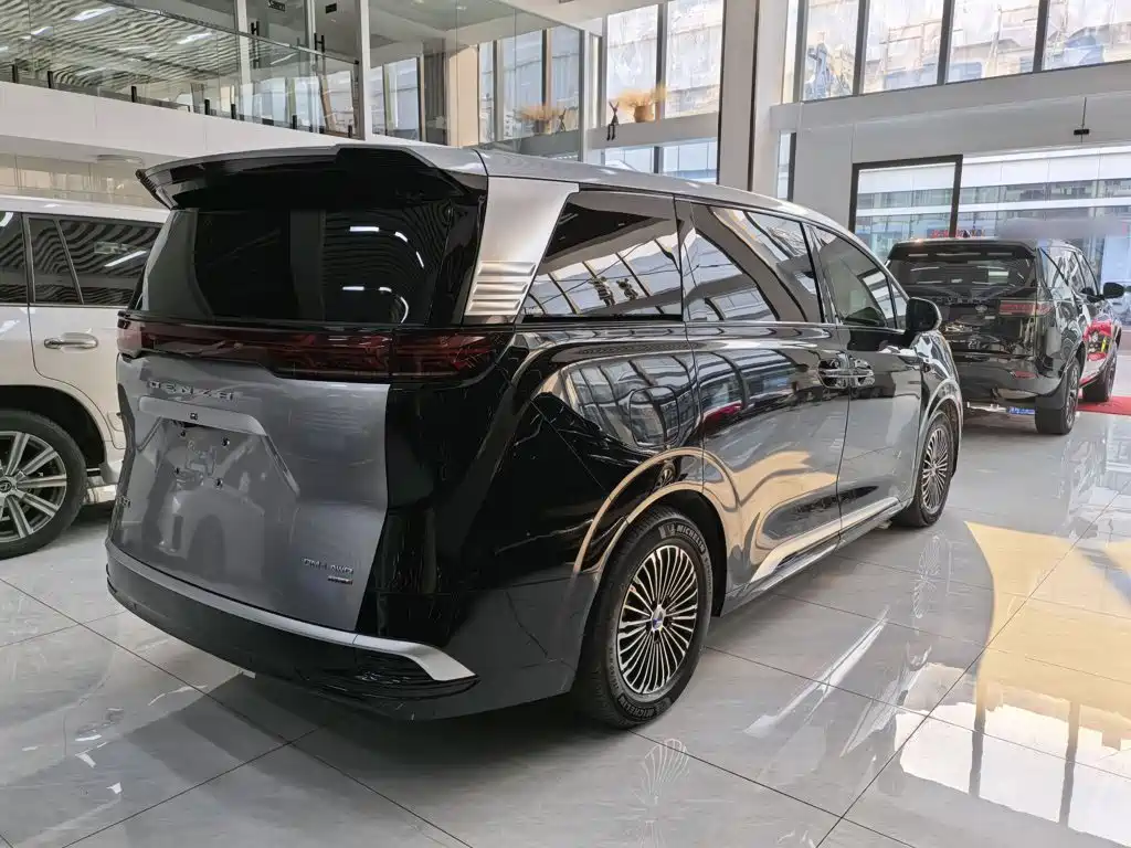 Denza Denza D9 — миниатюра 7