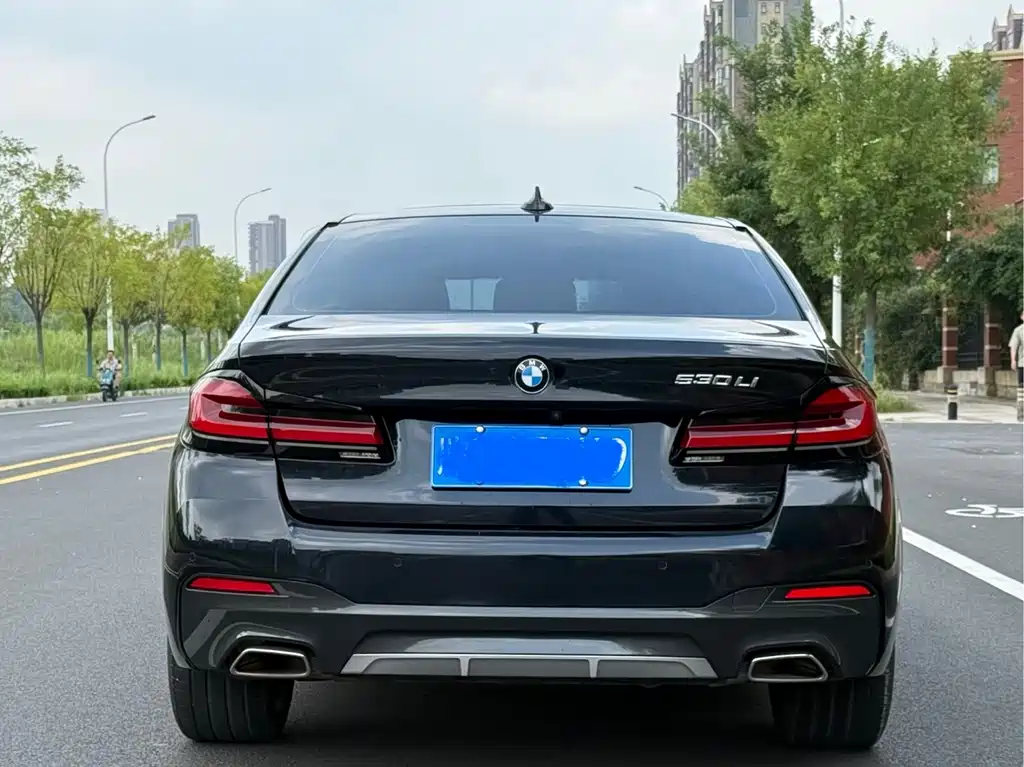 BMW 5 Series — миниатюра 8