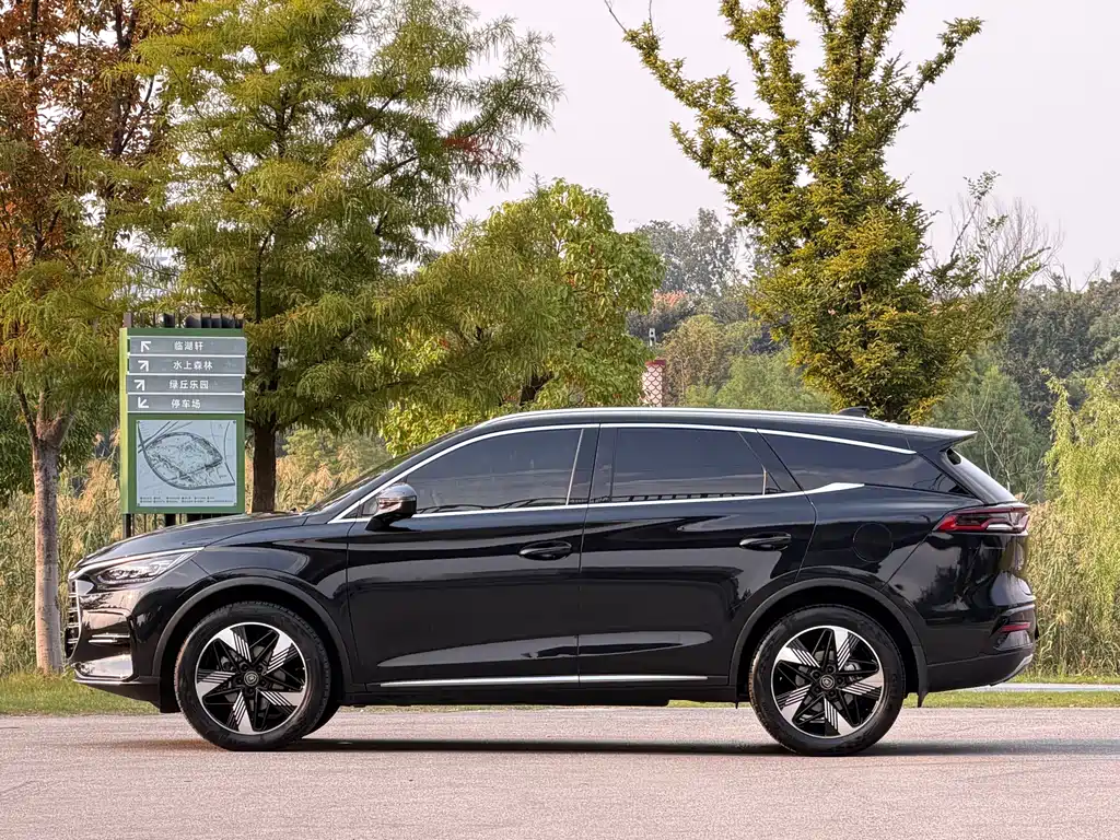 BYD Tang New Energy — миниатюра 4