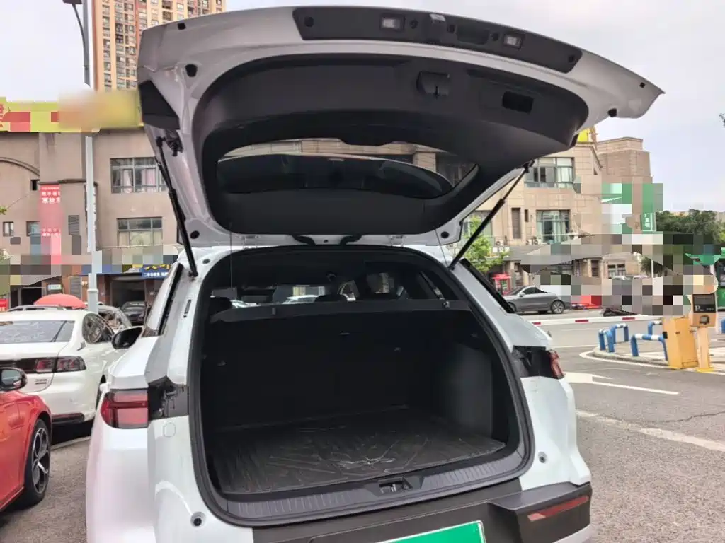 BYD Pro New Energy — миниатюра 19